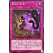 ����š� ͷ����OCG �ǥ奨���󥹥����� �Ǽؤα�ǰ 22PP 22PP-JP008