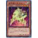 š ͷOCG ǥ奨󥹥 - LVAL LVAL-JP029