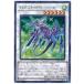š ͷOCG ǥ奨󥹥 ɥ饰˥ƥʥ-ϡ롼 CYHO CYHO-JP032 R