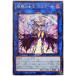 š ͷOCG ǥ奨󥹥 ν 르 CHIM CHIM-JP048 R