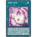 š ͷOCG ǥ奨󥹥 ̢ż BODE BODE-JP065