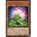 š ͷOCG ǥ奨󥹥 եD PHNI PHNI-JP003 R
