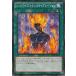 š ͷOCG ǥ奨󥹥 åɥȥ󥹥ޥ졼 CPD1 CPD1-JP017