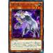 š ͷOCG ǥ奨󥹥 A̽ ᥸ȡå AC02 AC02-JP011 NP