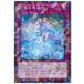 ����š� ͷ����OCG �ǥ奨���󥹥����� ϻ�֤���ɹ DBSS DBSS-JP026 NP