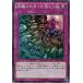 š ͷOCG ǥ奨󥹥 βΤޤäȤ 15AX 15AX-JPY55