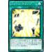 ����š� ͷ����OCG �ǥ奨���󥹥����� �ե����ࡦ������ SD27 SD27-JP019