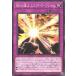 š ͷOCG ǥ奨󥹥 ܤζȲ ɡե쥤 INFO INFO-JP068