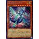 ����š� ͷ����OCG �ǥ奨���󥹥����� ��ϴ�θ���ε QCAC QCAC-JP004 SER