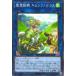 š ͷOCG ǥ奨󥹥 õ ե륳 TW01 TW01-JP140