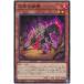 ����š� ͷ����OCG �ǥ奨���󥹥����� �Զ��ν��� BODE BODE-JP033
