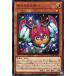 š ͷOCG ǥ奨󥹥 饯ܡ PHHY PHHY-JP003