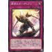 š ͷOCG ǥ奨󥹥 Υǥ INFO INFO-JP074