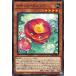 š ͷOCG ǥ奨󥹥 ʥ롦ꥢ DABL DABL-JP021