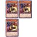 š ͷOCG ǥ奨󥹥 ã IGAS IGAS-JP029 3祻å