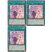 š ͷOCG ǥ奨󥹥 ˥ǥ˥ LEDE LEDE-JP066 3祻å