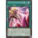 š ͷOCG ǥ奨󥹥 ʪ INFO INFO-JP066