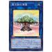 š ͷOCG ǥ奨󥹥 ŷ SLT1 SLT1-JP032