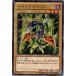 š ͷOCG ǥ奨󥹥 ϥɡɥ饴 DE02 DE02-JP003