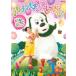 NHK DVD нет нет ...! Pachi Pachi pare-do.! прокат б/у DVD