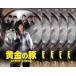 bs:: yellow gold. pig accounting inspection . special investigation lesson all 5 sheets no. 1 story ~ no. 9 story last rental all volume set used DVD case less ::