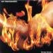 Burning Hammer �С��˥󥰥ϥ�ޡ� 2CD ��󥿥���� ��� CD ������̵::