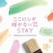  здесь . только .. нет цветок STAY Kobukuro * коллекция α волна музыкальная шкатулка * лучший 2CD прокат б/у CD кейс нет ::
