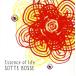 Essence of life 󥿥  CD ̵:: Ԥ