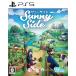 [ б/у немедленная уплата ]{PS5} SunnySide( Sunny боковой ) SOFT SOURCE(20250911)
