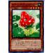 �����¨Ǽ��{TCG} ͷ���� DTC3-JP021N �ʥ���롦���ȥ��٥꡼