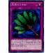 ¨Ǽ{TCG} ͷ 15AX-JPY56MR ŷΤ(20150110)