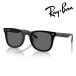 Ray-Ban RayBan поляризованный свет солнцезащитные очки RB4391D 601/81 65mm черный POLARIZEDpolalaizdo ультрафиолетовые лучи UV cut внутренний стандартный товар с гарантией большой солнцезащитные очки большой размер 