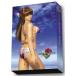 【PSP】 DEAD OR ALIVE Paradise 秘密の楽園BOXの商品画像