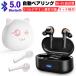 ���C�����X�w�b�h�Z�b�g Bluetooth 5.0 Siri �J�i���^ iOS/Android�Ή� �����y�A�����O �[�d�P�[�X�t�� �|�[�^�u�� �}�C�N�����yPL�ی������ςݐ��i�E���S�z