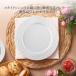 �}�C�Z�� ���M ��17cm �u���b�h���o�^�[�v���[�g �u���C�����u���b�T���v �v���[���g ���i�g�� ������� �}�C�Z������/���{���㗝�X �֘A�摜4