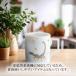 �}�C�Z�� �}�O�J�b�v �e�ʖ�310ml �u嶍� (�������)�v �v���[���g ���i�g�� ������� �}�C�Z������/���{���㗝�X �֘A�摜4