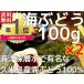 海ぶどう 沖縄 海洋深層水 で有名な久米島産海ぶどう100％ お土産 ポイント消化　久米島産海ぶどう100g×2個セット みやぎ商店