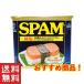 スパム 缶詰 減塩スパム SPAM 340g×5個セット 沖縄  お土産 減塩 ホーメル ポークランチョンミート おすすめ