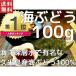 海ぶどう 沖縄 久米島産海ぶどう （100g） お土産 海洋深層水 で有名な久米島産海ぶどう100％ おすすめ 宅配便で発送 土産