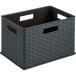 TRUSCO( Trusco ) rattan style box black RTB-1-BK