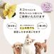 �G���U�x�X�J���[ �L ���p �\�t�g �l�R  �ȒP���� ���킢�� �X�^�C �T�C�Y���� �t���� ���킢�� �֘A�摜1