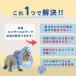 �G���U�x�X�J���[ �L ���p �\�t�g �l�R  �ȒP���� ���킢�� �X�^�C �T�C�Y���� �t���� ���킢�� �֘A�摜3