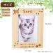 �y�b�g�p�t�H�g�t���[�� �����ꍏ�� �I�[�_�[���C�h �茳���{ ��e �ʐ^���� �� �L �������A���O�b�Y ���Y �w �֘A�摜2