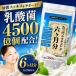�����Ղ胉�N�g�t�F�����{�Z�k���_�� EC-12�{�y�� 6������ �_�C�G�b�g �T�v�� �z�G�C�v���e�C��