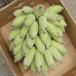 Apple banana approximately 7kg Okinawa prefecture production 