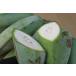 沖縄の野菜バナナ約　１ｋｇ　【お試し用】★バナナ天ぷらが美味しい★