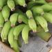  Golden sweet banana approximately 4kg Okinawa prefecture production 