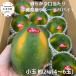  фрукты папайя примерно 2kg (4~6 шар ввод )[ товар вид оставив решение кому-то другому ] Okinawa префектура производство 