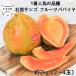  фрукты папайя примерно 2kg (2~4 шар ввод ) [ камень . коралл ] Okinawa префектура производство 