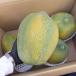 большой шар фрукты папайя примерно 1.4kg~2kg Okinawa префектура производство 